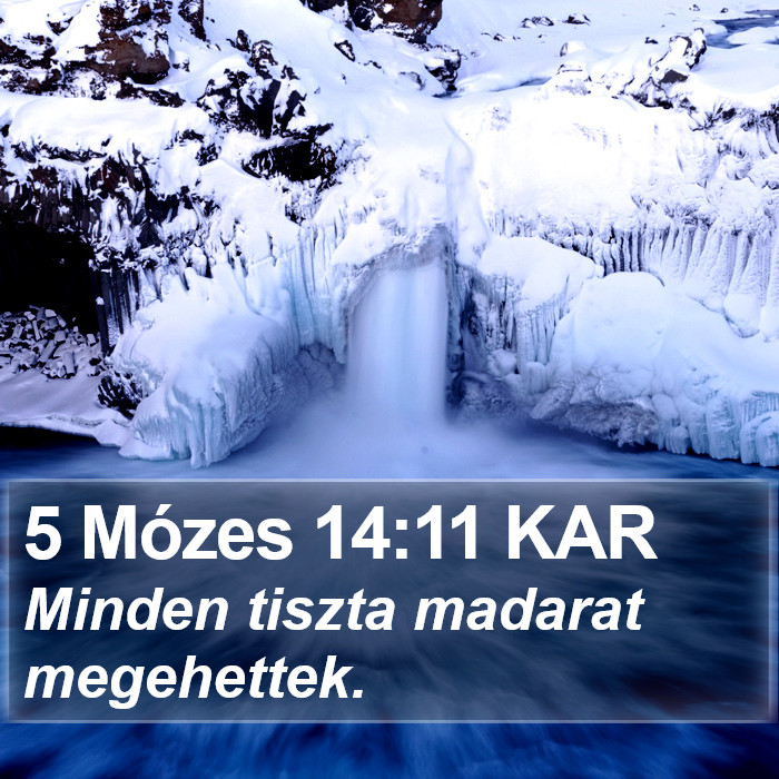 5 Mózes 14:11 KAR Bible Study