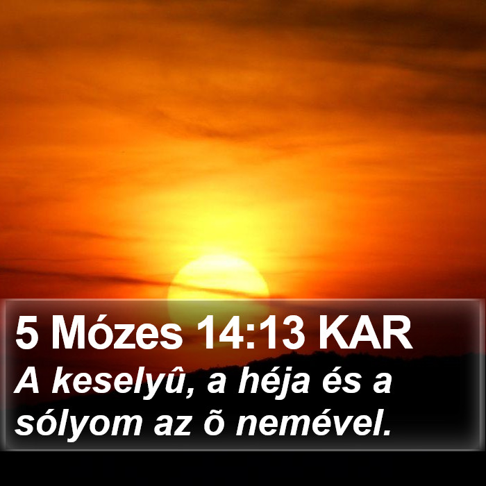 5 Mózes 14:13 KAR Bible Study