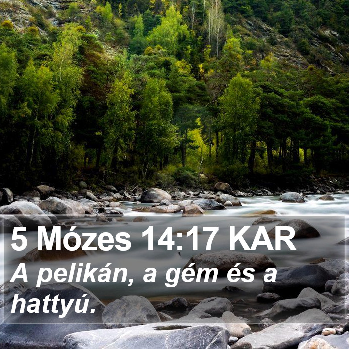 5 Mózes 14:17 KAR Bible Study