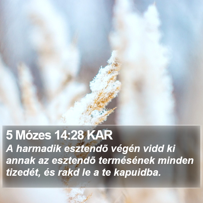 5 Mózes 14:28 KAR Bible Study