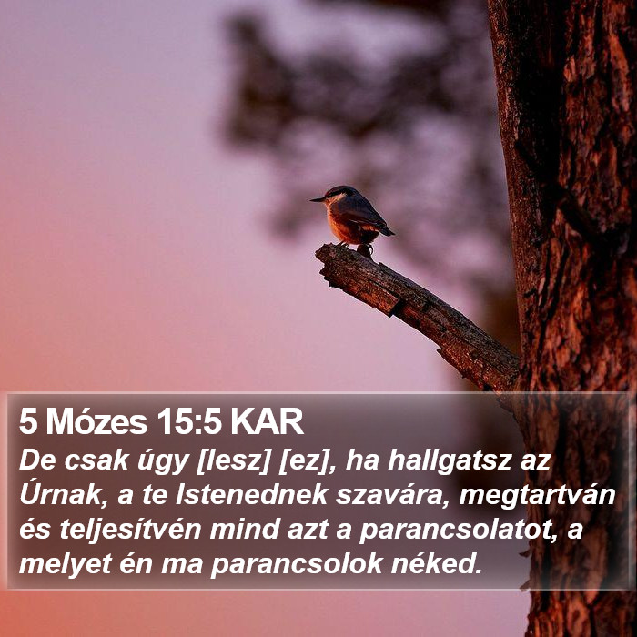 5 Mózes 15:5 KAR Bible Study