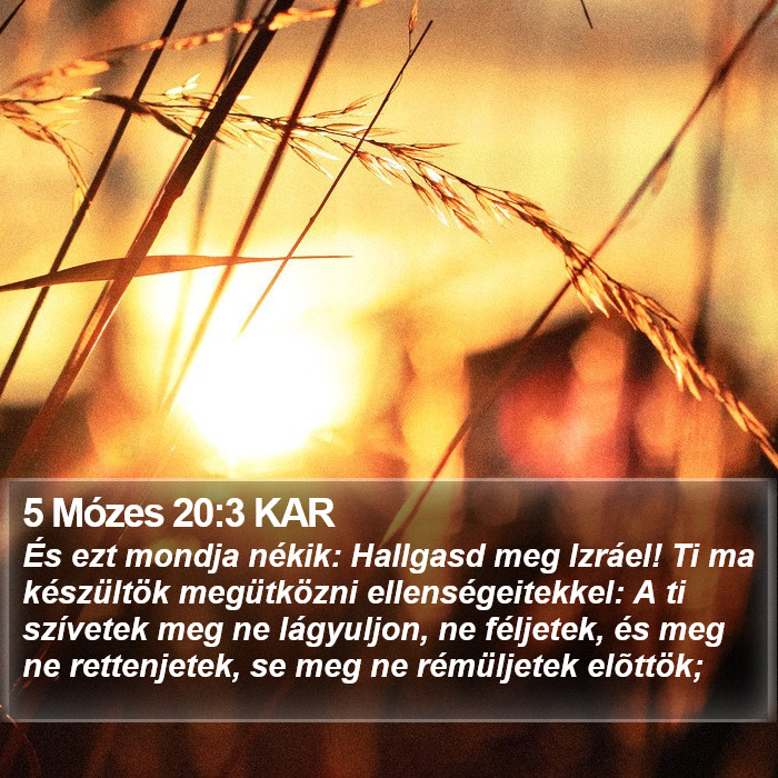 5 Mózes 20:3 KAR Bible Study