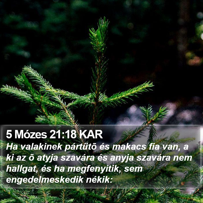 5 Mózes 21:18 KAR Bible Study