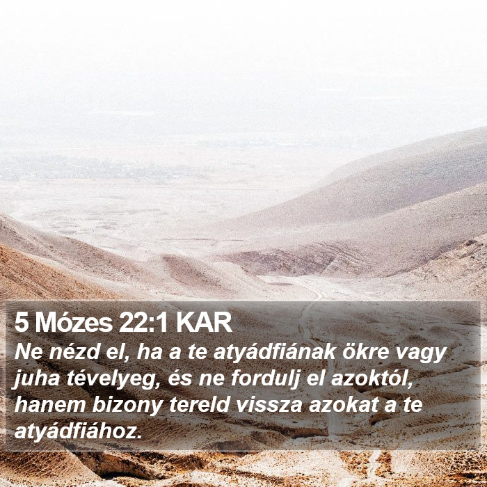 5 Mózes 22:1 KAR Bible Study