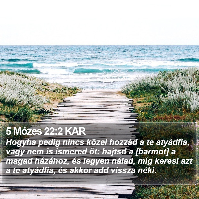 5 Mózes 22:2 KAR Bible Study