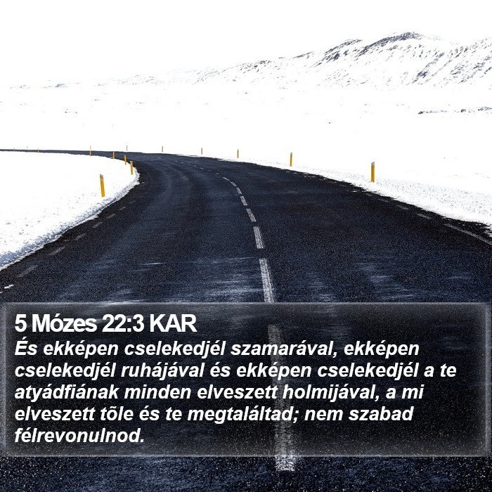 5 Mózes 22:3 KAR Bible Study