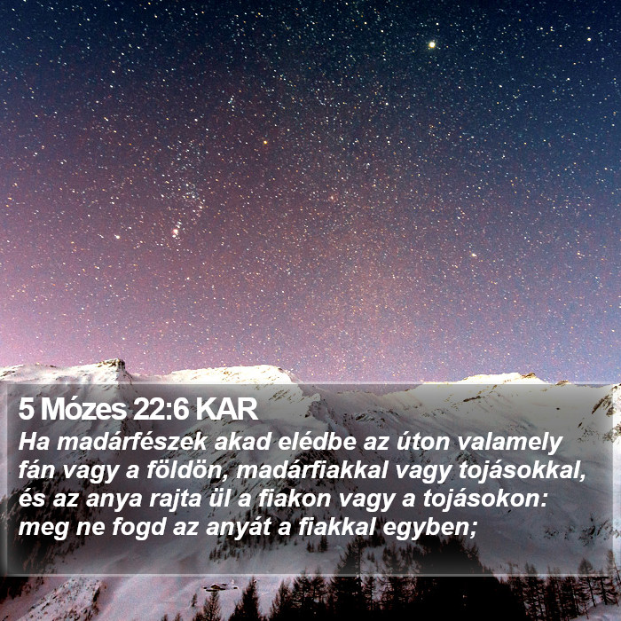 5 Mózes 22:6 KAR Bible Study