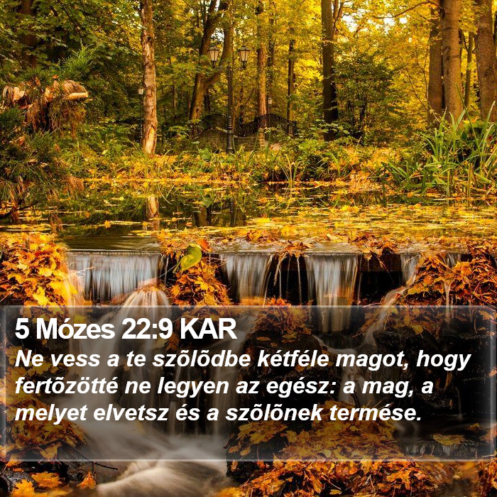 5 Mózes 22:9 KAR Bible Study