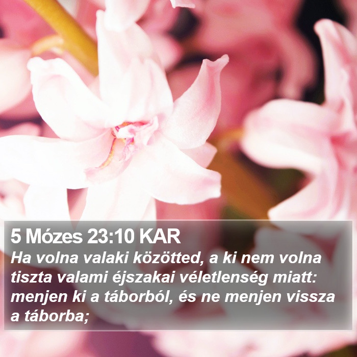 5 Mózes 23:10 KAR Bible Study