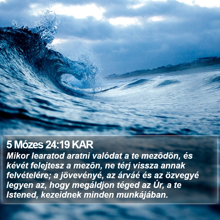 5 Mózes 24:19 KAR Bible Study