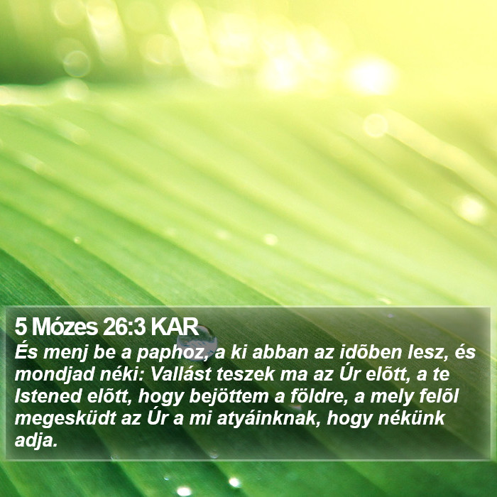 5 Mózes 26:3 KAR Bible Study