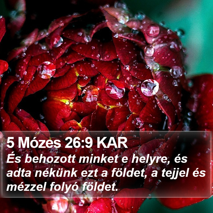 5 Mózes 26:9 KAR Bible Study