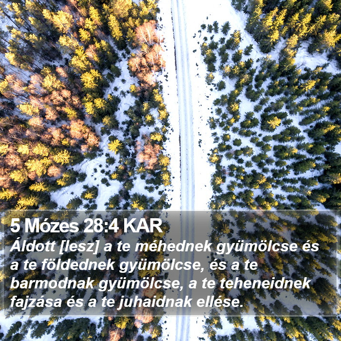 5 Mózes 28:4 KAR Bible Study