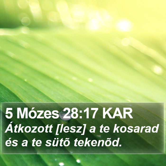 5 Mózes 28:17 KAR Bible Study