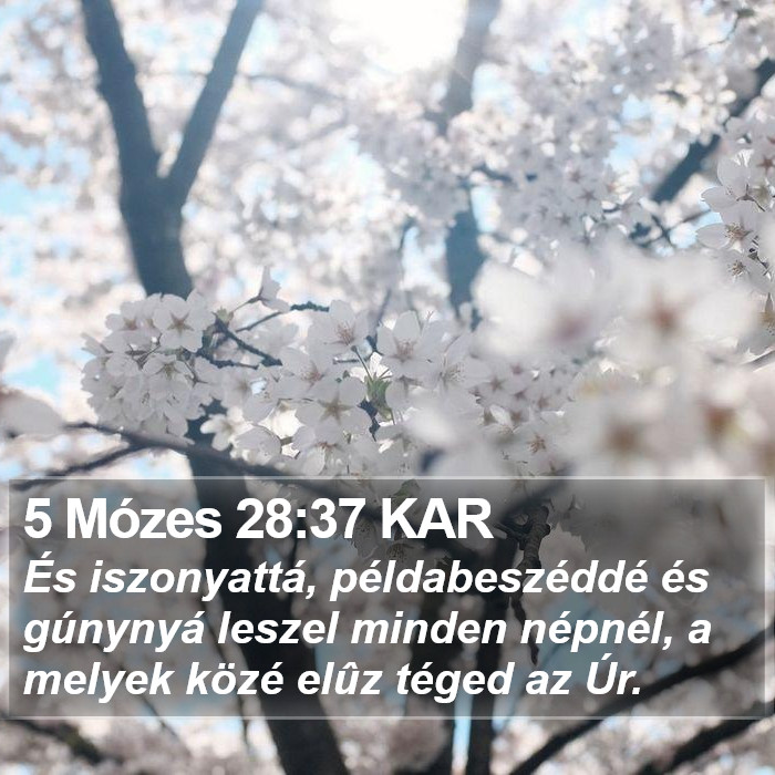 5 Mózes 28:37 KAR Bible Study