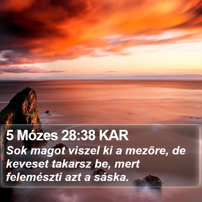 5 Mózes 28:38 KAR Bible Study