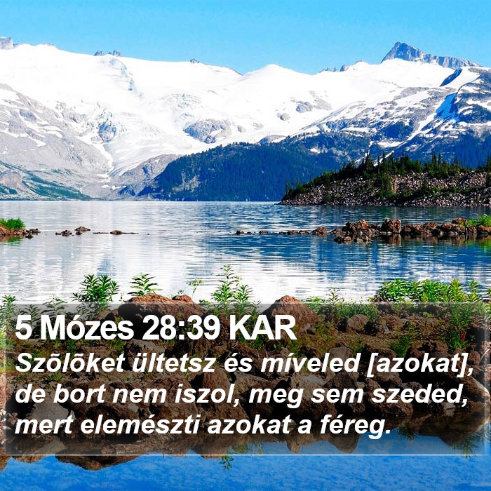 5 Mózes 28:39 KAR Bible Study