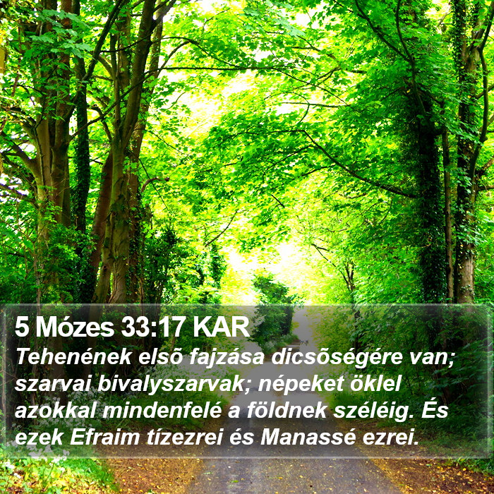 5 Mózes 33:17 KAR Bible Study