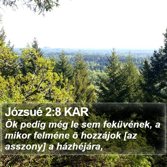 Józsué 2:8 KAR Bible Study