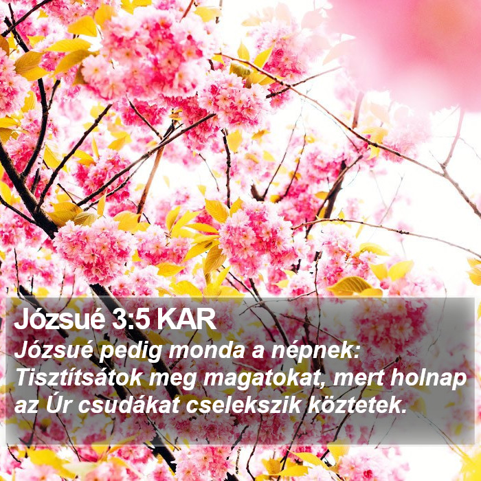 Józsué 3:5 KAR Bible Study