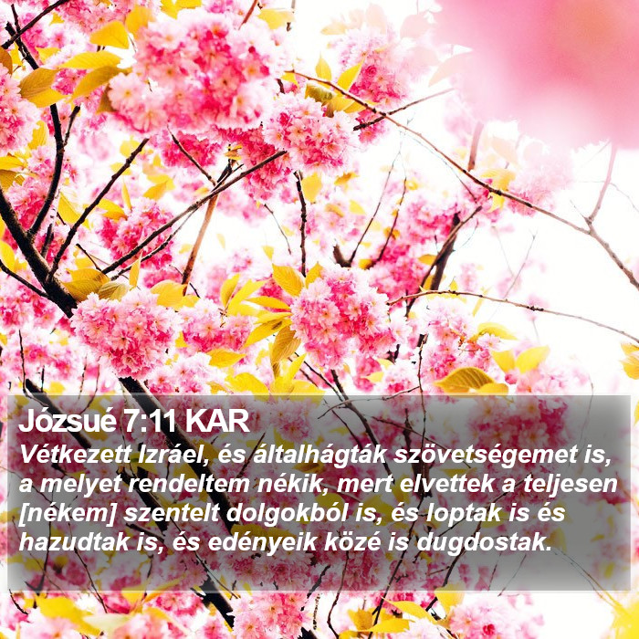 Józsué 7:11 KAR Bible Study