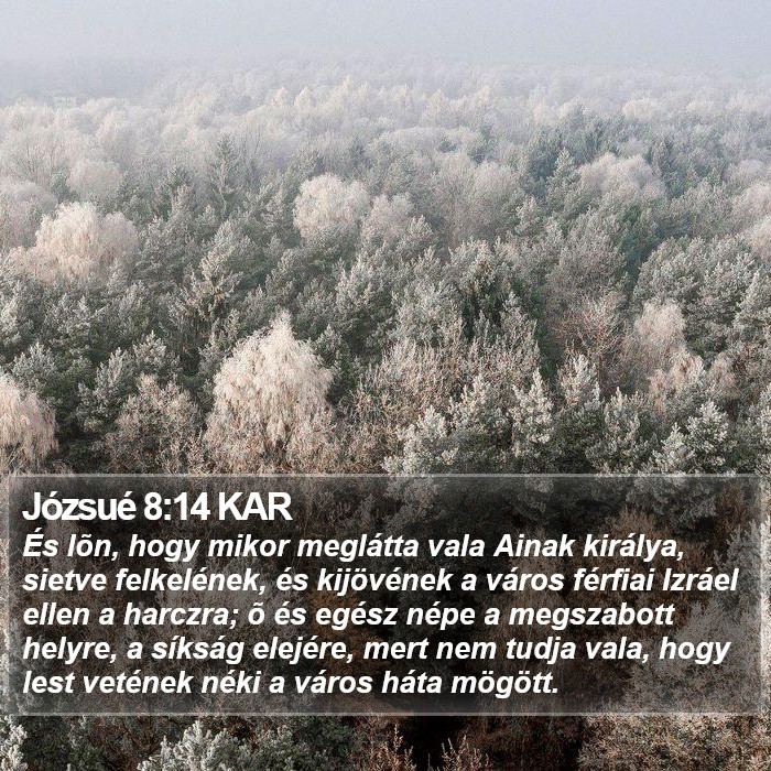 Józsué 8:14 KAR Bible Study