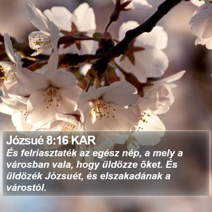 Józsué 8:16 KAR Bible Study