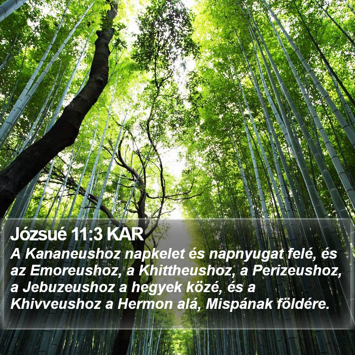 Józsué 11:3 KAR Bible Study