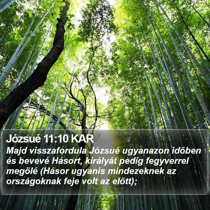 Józsué 11:10 KAR Bible Study