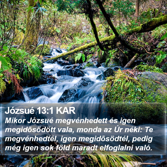 Józsué 13:1 KAR Bible Study