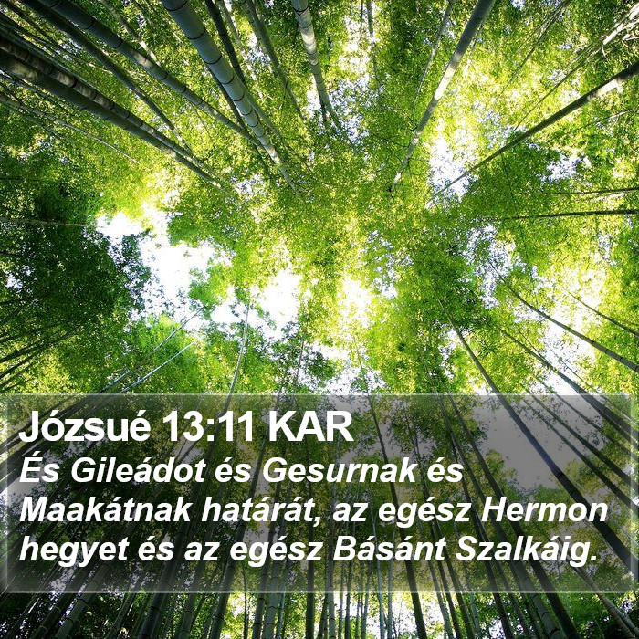 Józsué 13:11 KAR Bible Study