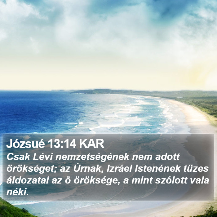 Józsué 13:14 KAR Bible Study