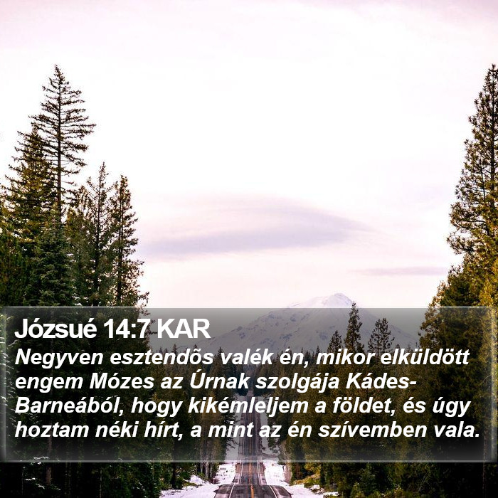 Józsué 14:7 KAR Bible Study