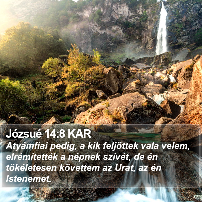 Józsué 14:8 KAR Bible Study