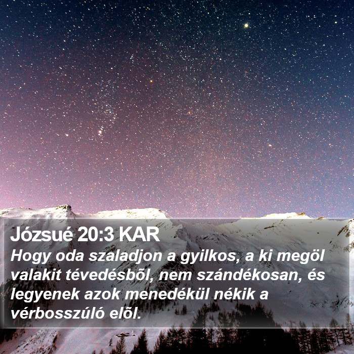 Józsué 20:3 KAR Bible Study