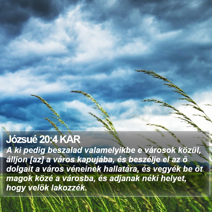 Józsué 20:4 KAR Bible Study