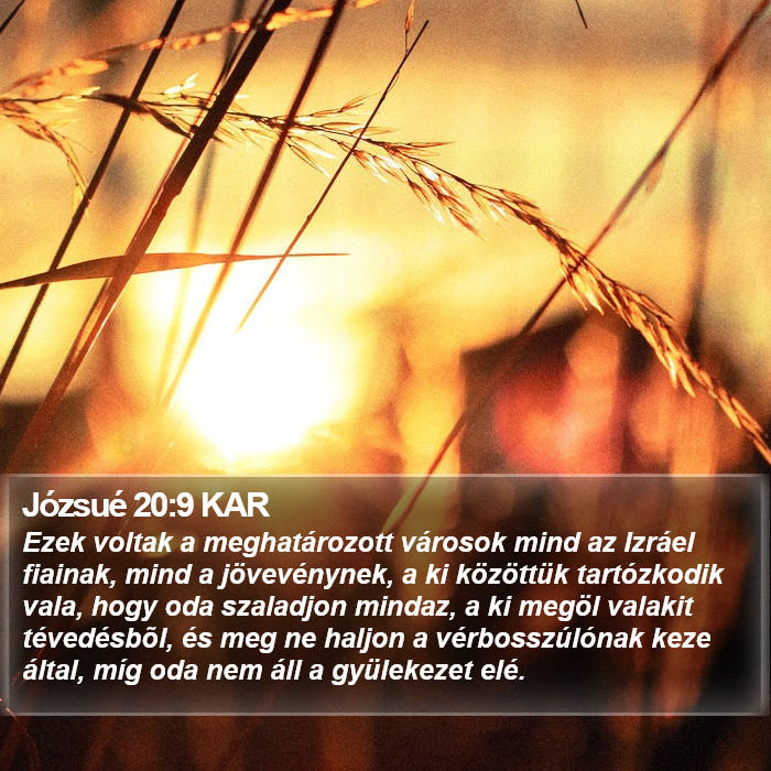 Józsué 20:9 KAR Bible Study