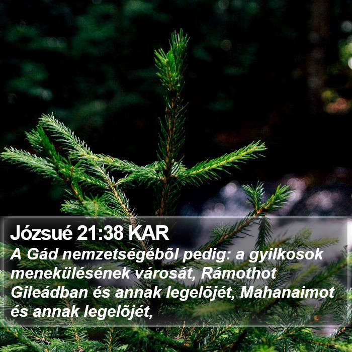 Józsué 21:38 KAR Bible Study