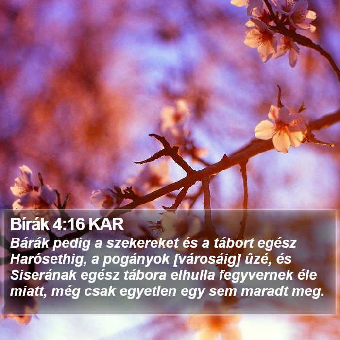 Bírák 4:16 KAR Bible Study