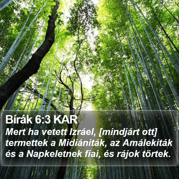 Bírák 6:3 KAR Bible Study