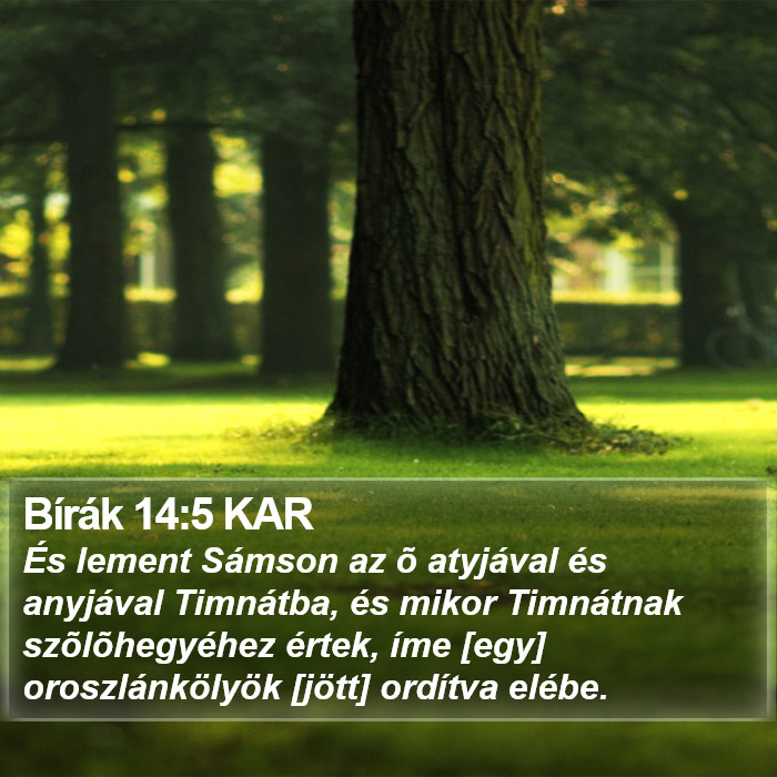 Bírák 14:5 KAR Bible Study