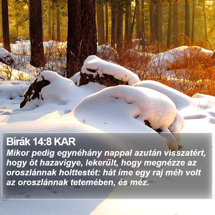 Bírák 14:8 KAR Bible Study