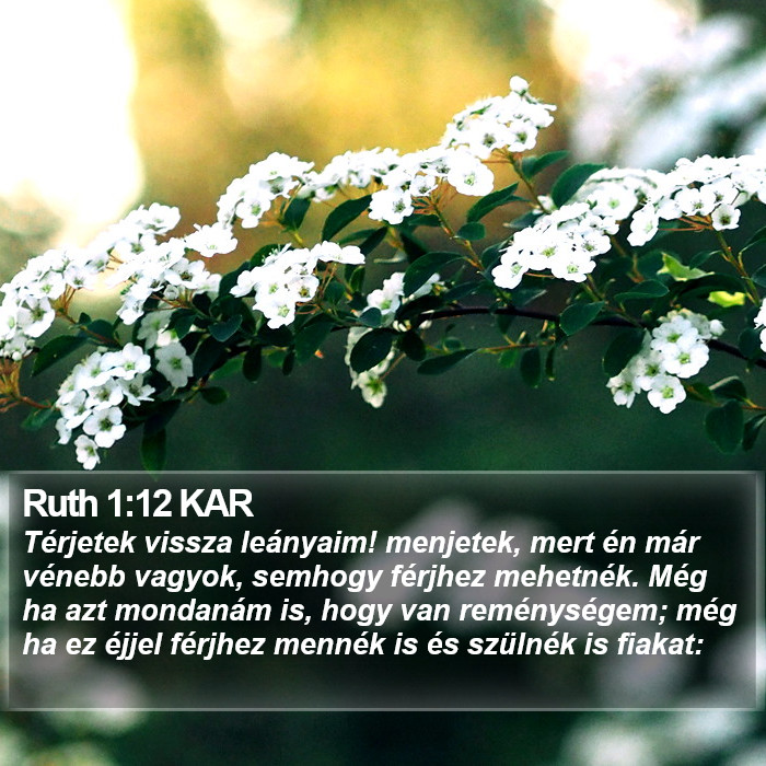 Ruth 1:12 KAR Bible Study