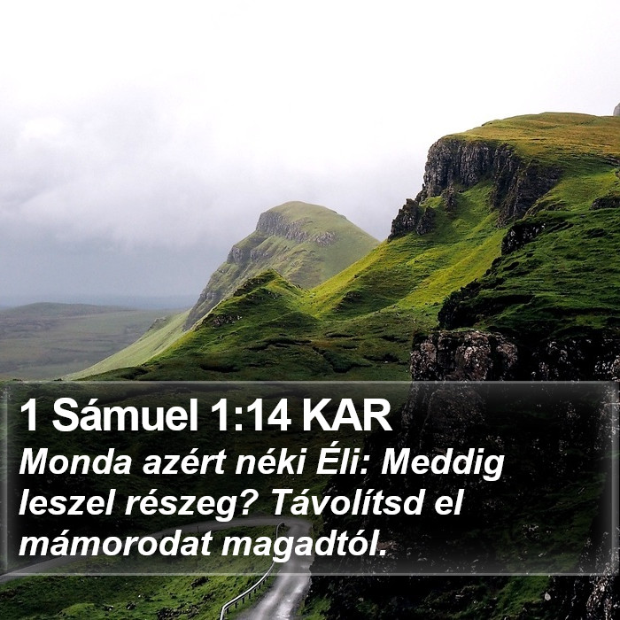 1 Sámuel 1:14 KAR Bible Study