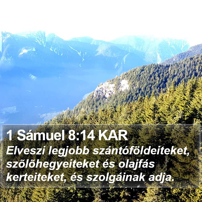 1 Sámuel 8:14 KAR Bible Study