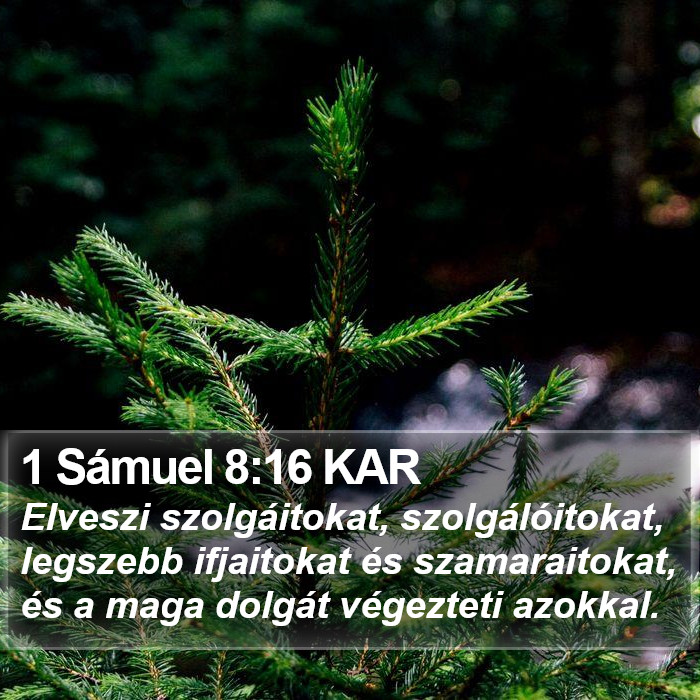 1 Sámuel 8:16 KAR Bible Study