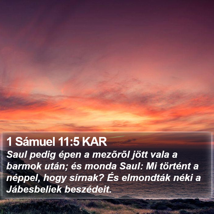 1 Sámuel 11:5 KAR Bible Study