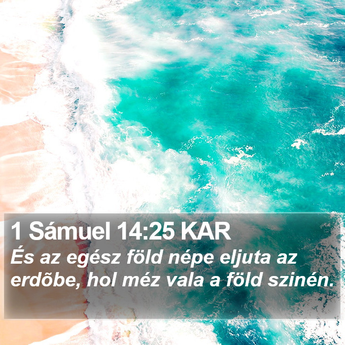 1 Sámuel 14:25 KAR Bible Study