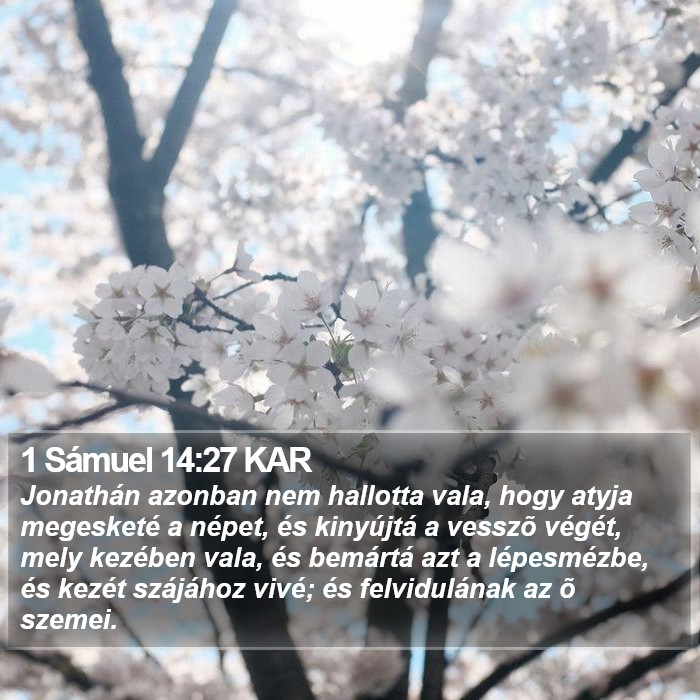 1 Sámuel 14:27 KAR Bible Study