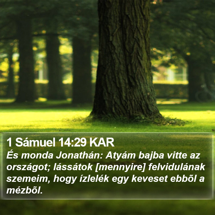 1 Sámuel 14:29 KAR Bible Study